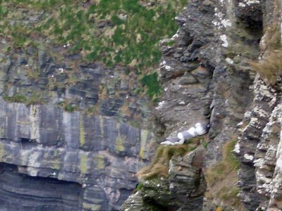 Ireland 2010243.jpg