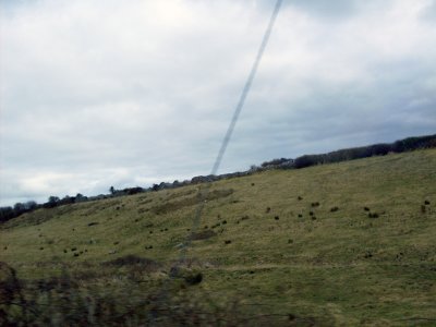 Ireland 2010256.jpg
