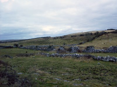 Ireland 2010257.jpg