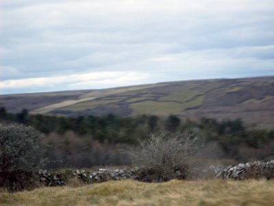 Ireland 2010259.jpg