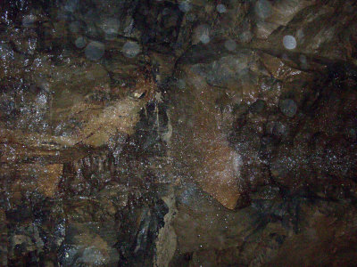 Ireland 2010300.jpg