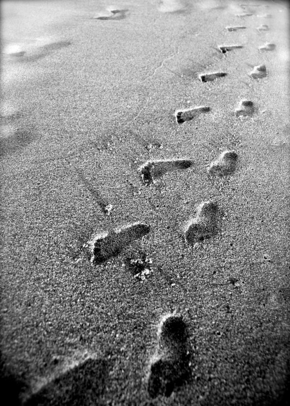 Footprints In The Sand