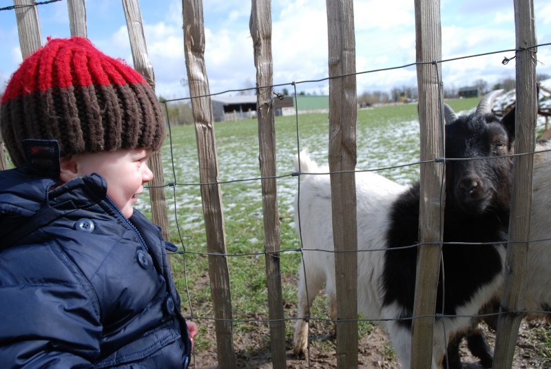 Henry Meets Billy