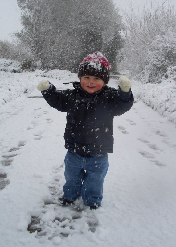 First Walk In The Snow