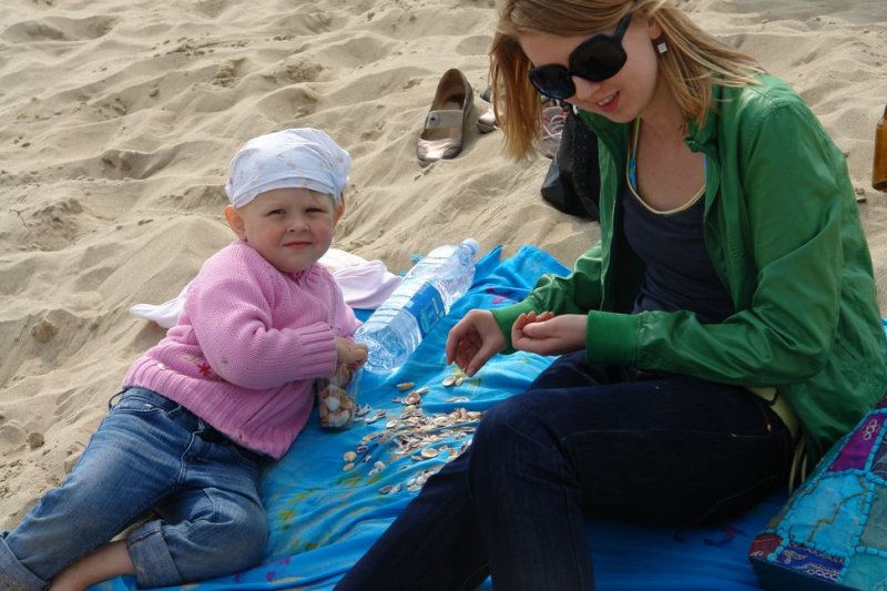 Sorting out the seashells