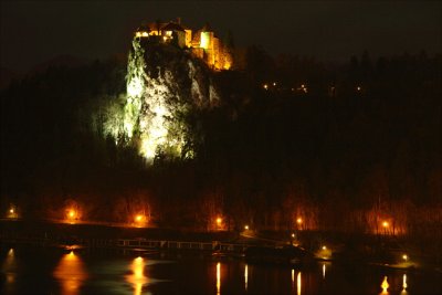 Castle at night