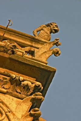 Notre Dame gargoyle-3.jpg