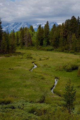 yellowstone