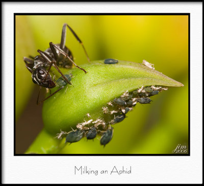 aIMG_5192.jpg