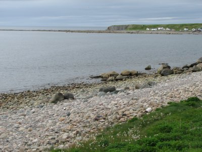 Shoreline - Gros Morne