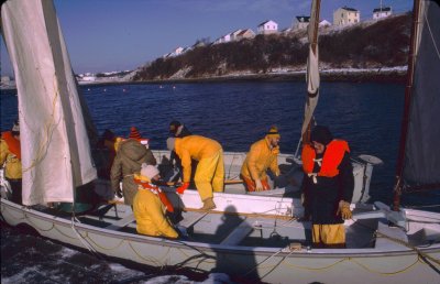 Whaler Race, New Year's Day 1984