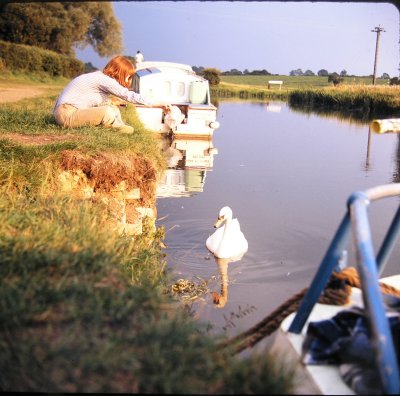 Old Slides - Set 1