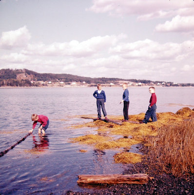 Old Slides - Set 4