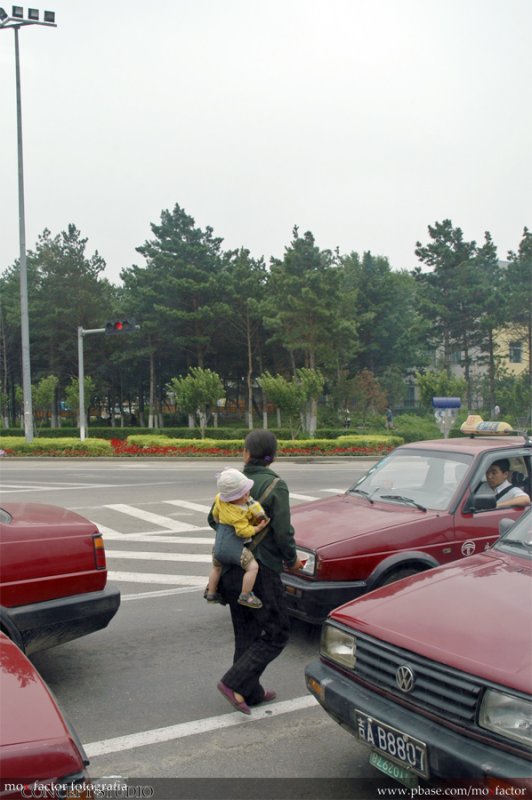 Changchun 長春 - Highway Ramp Begging