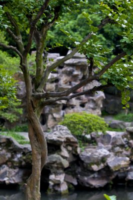 Suzhou 蘇州 - 拙政園 Zhuo Zheng Garden