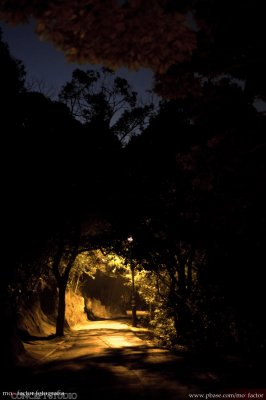 Hong Kong 香港 - ISO 3200 edited RAW(higher vibrance + 2 vertical gradients to balance light levels)