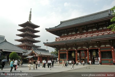 Tokyo 東京 - 浅草寺:五重の塔+本堂 Sensoji