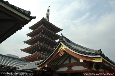 Tokyo 東京 - 浅草寺:五重の塔 Sensoji