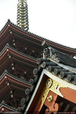 Tokyo 東京 - 浅草寺:五重の塔 Sensoji