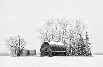 Black and White Winter