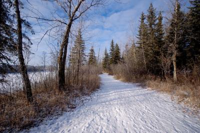 Laurier Park Trail