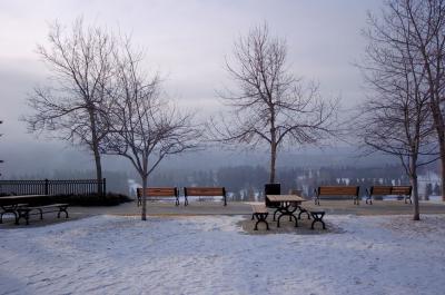 City Park