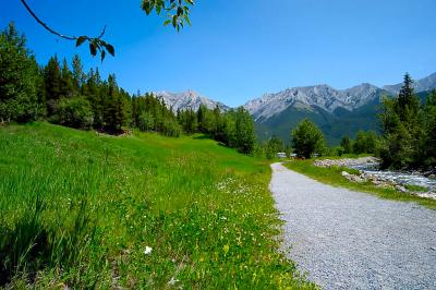 Mountain Trail