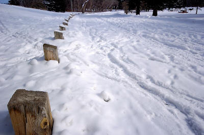 Laurier Park