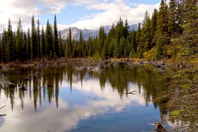 Fall Reflections