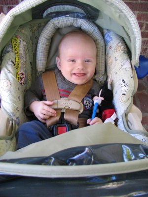 Ready to go for a walk