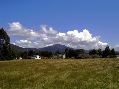 P4200001.jpg