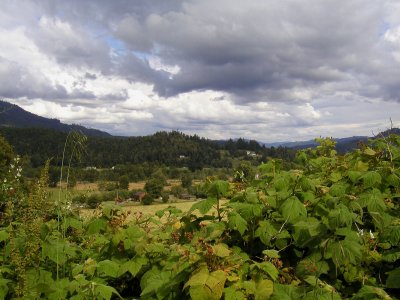 P6040012.jpg