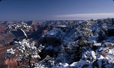Grand Canyon-snow-11.jpg