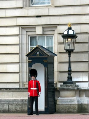 London - Guard at Buckingham Palace