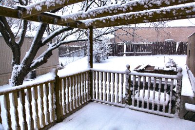 Patio and back yard