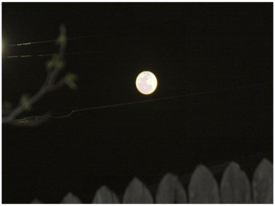moon 2_1_1.JPG