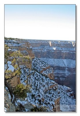 Grand Canyon  071.jpg