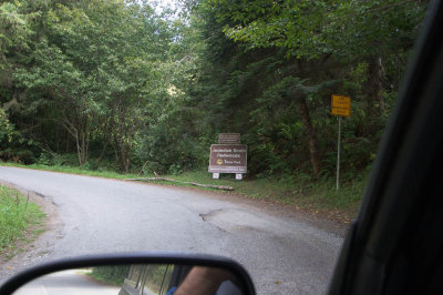 IMG_6686.jpg