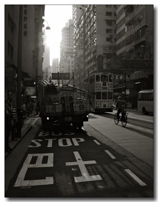 the tram road and a bus stop