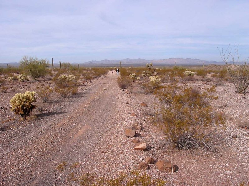 Looking West