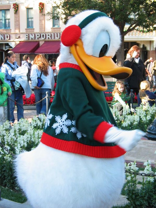 Disneyland and California Adventure 2009