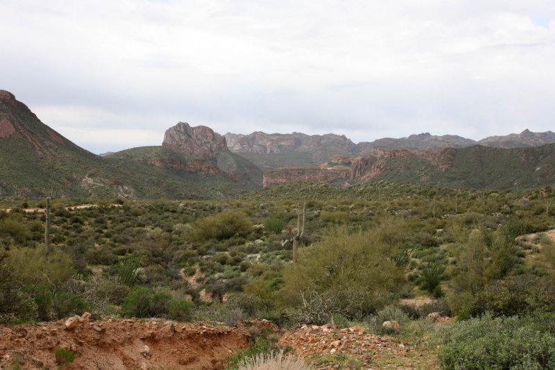 View of Walnut Canyon from Battleaxe Road