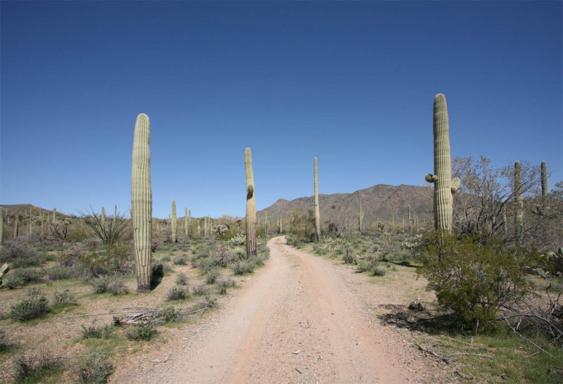 Heading Toward Papago Indian Chief Mine