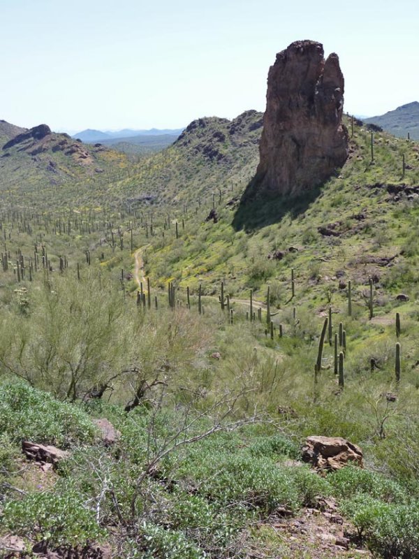 South of the Bender Spring Pass