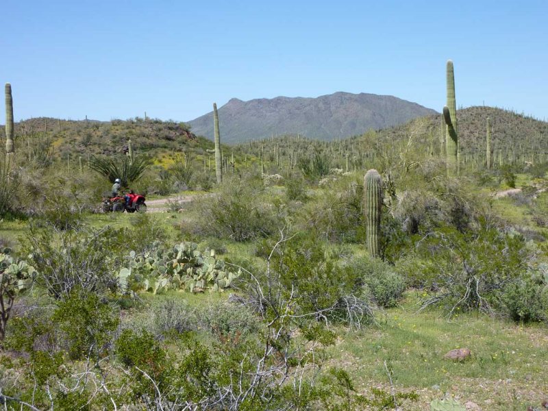 Jay Leading with Javelina Mountain in the Background
