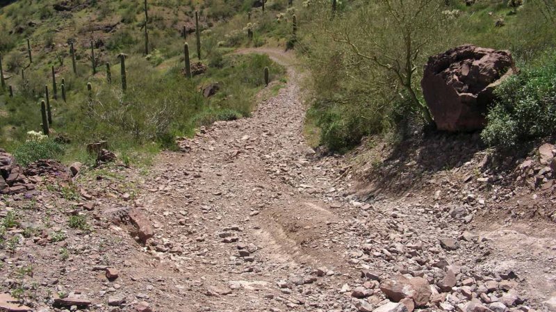 The Road South