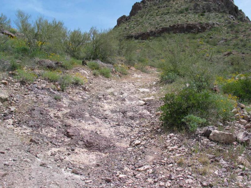 Road to Indian Ruins