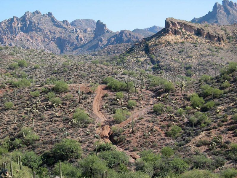 High Ridge