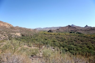 The Gila River in the Valley