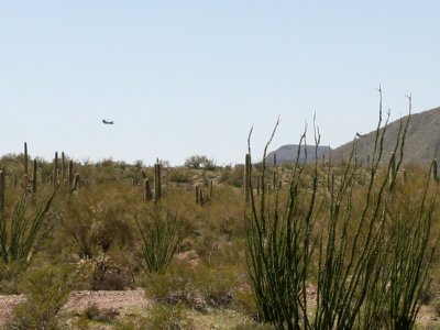 CH47D's on Training Mission